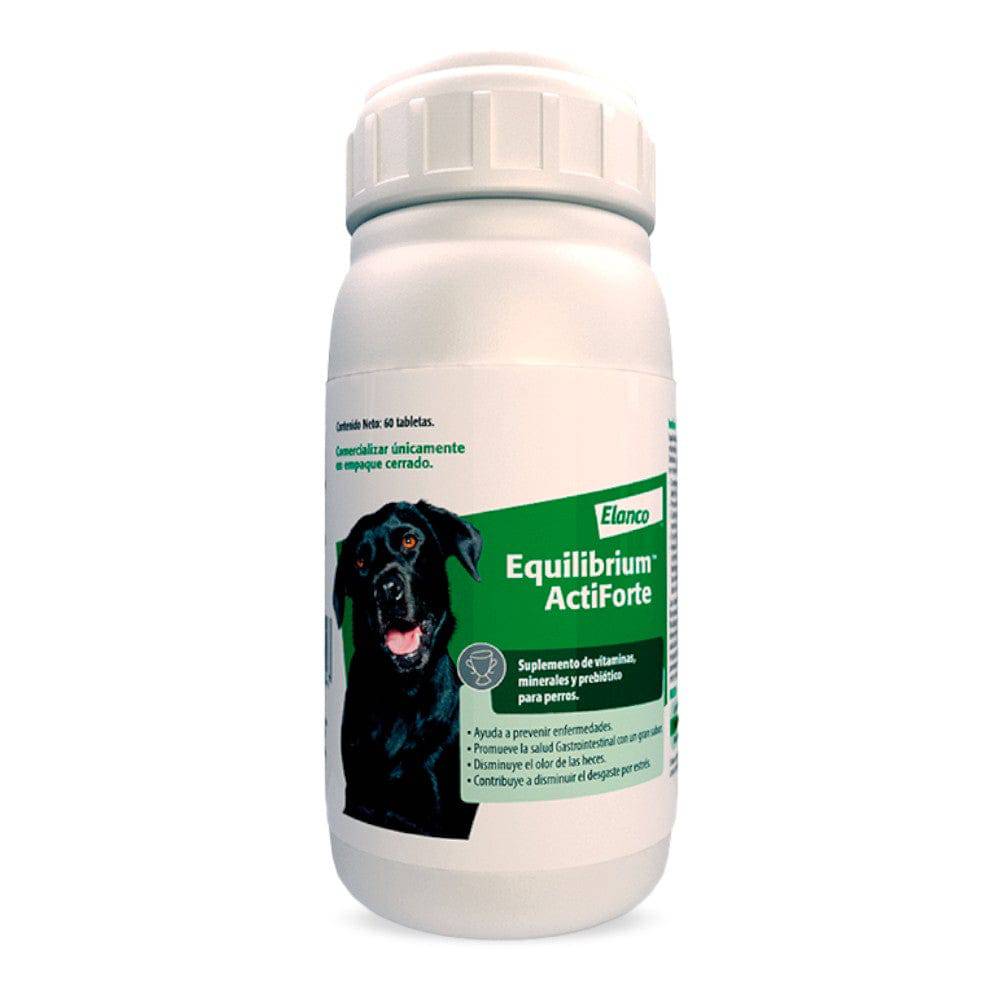 Equilibrium ActiForte