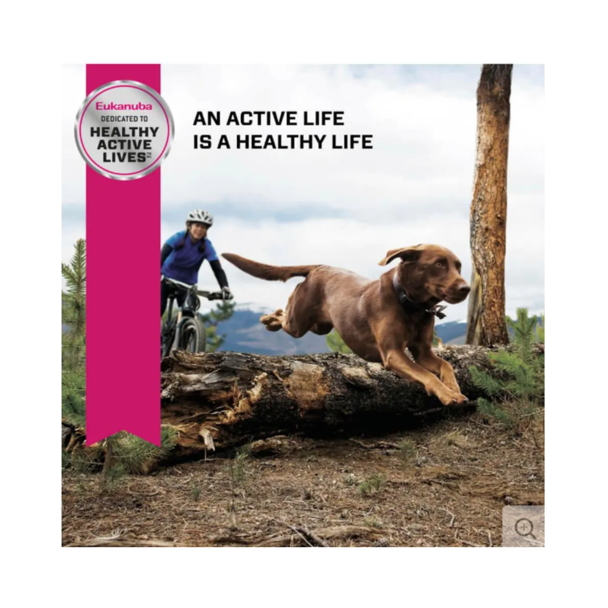 Eukanuba Adulto Raza Grande 13.61 kg con DHA y antioxidantes para función cerebral saludable
