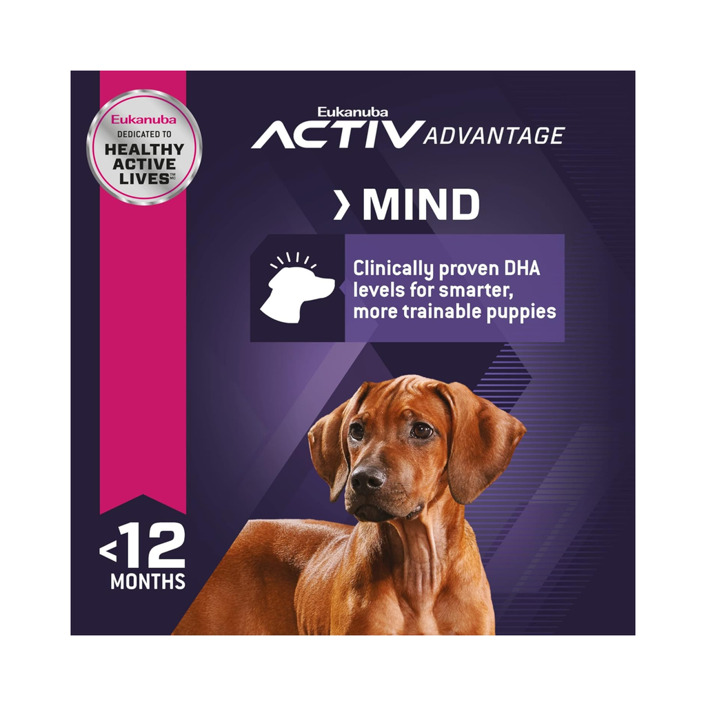Alimento Eukanuba Puppy Large Breed con DHA para desarrollo cognitivo del cachorro