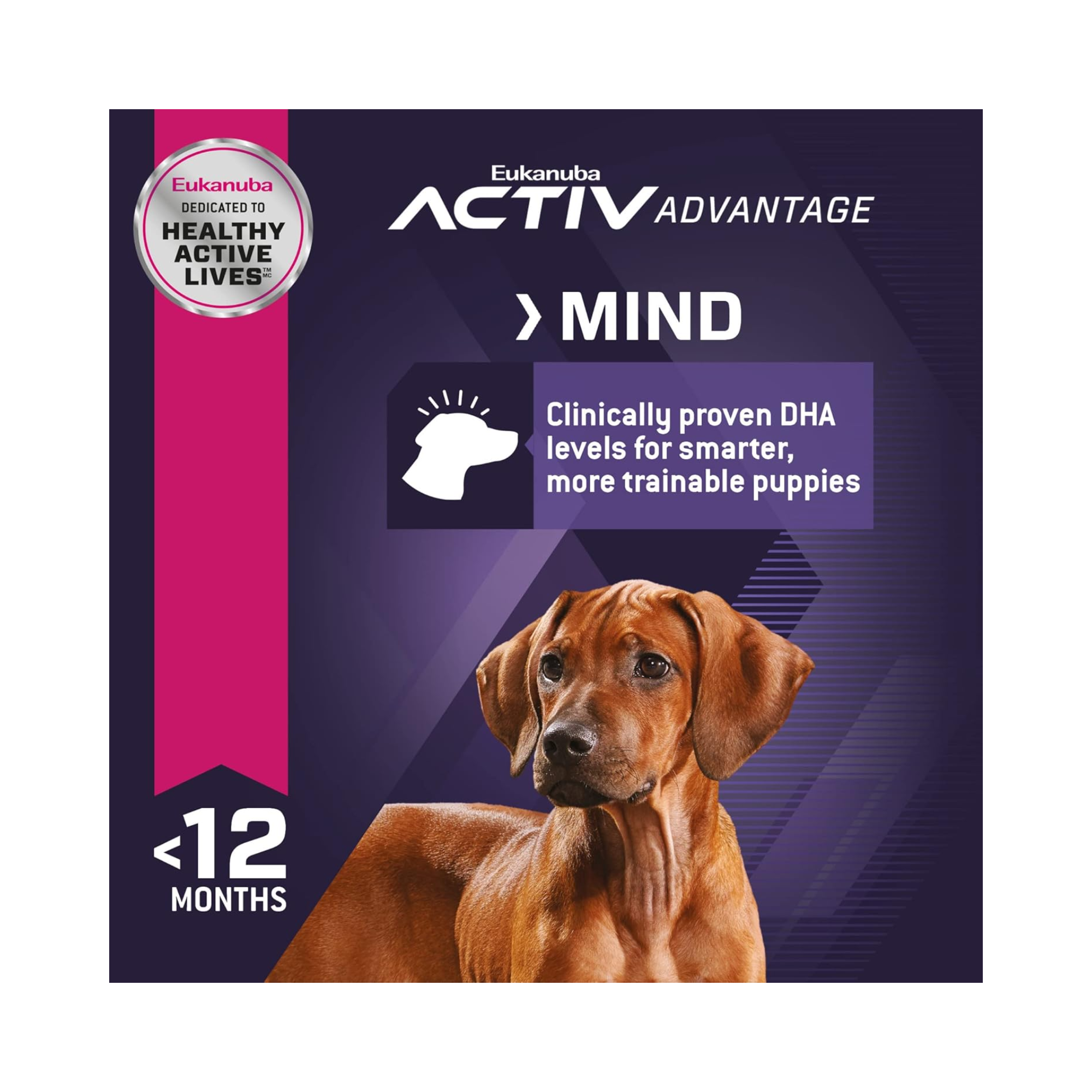 Alimento Eukanuba Puppy Large Breed con DHA para desarrollo cognitivo del cachorro