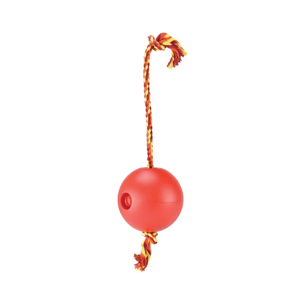 Fancy Pets Juguetes Bola Rellenable Chico