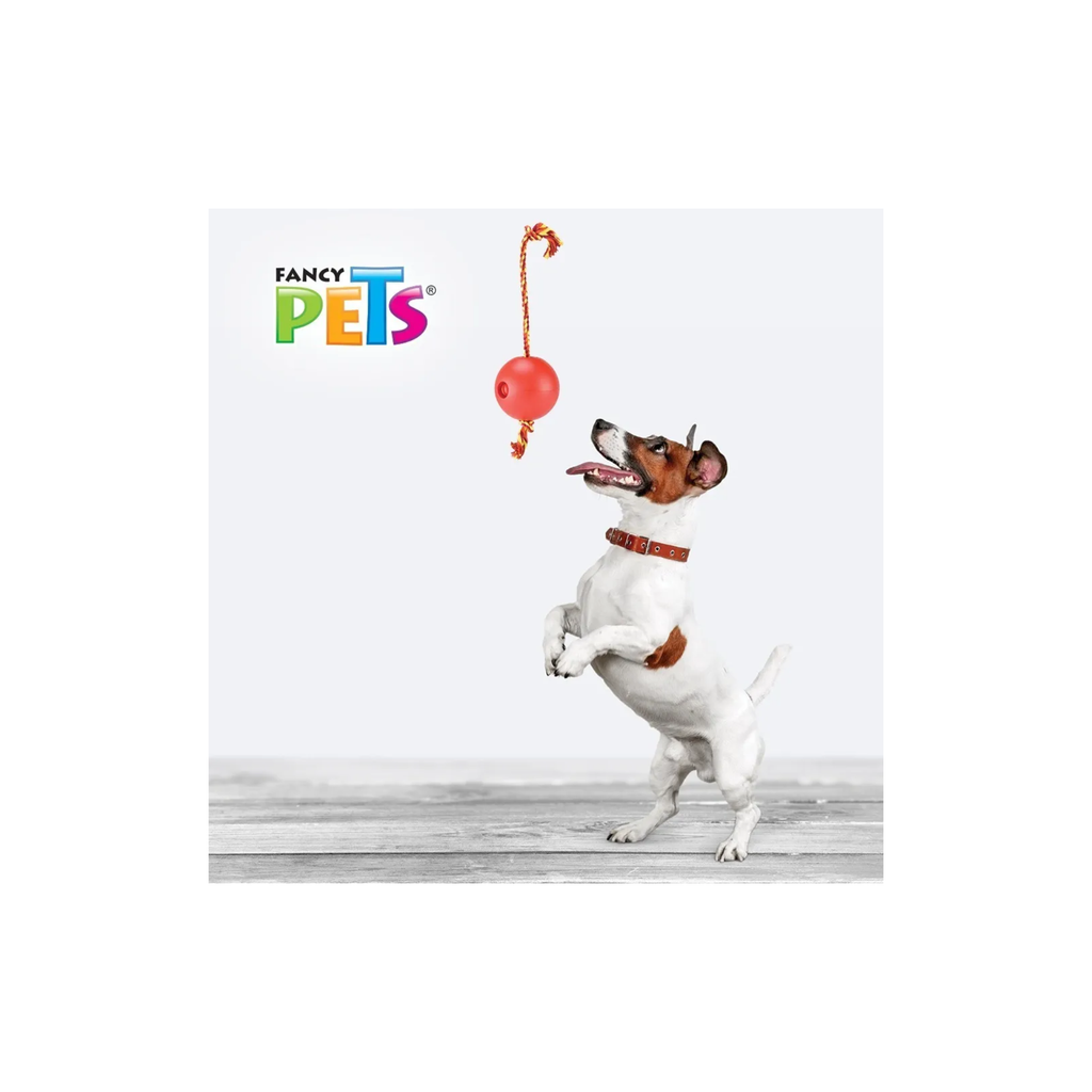 Fancy Pets Juguetes