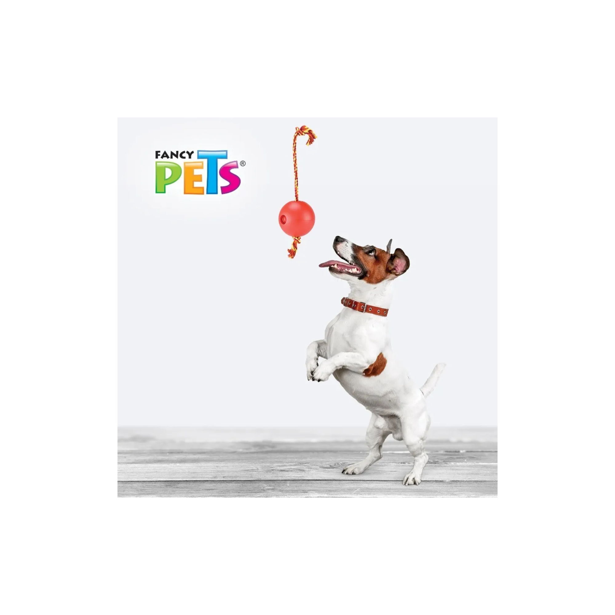 Fancy Pets Juguetes