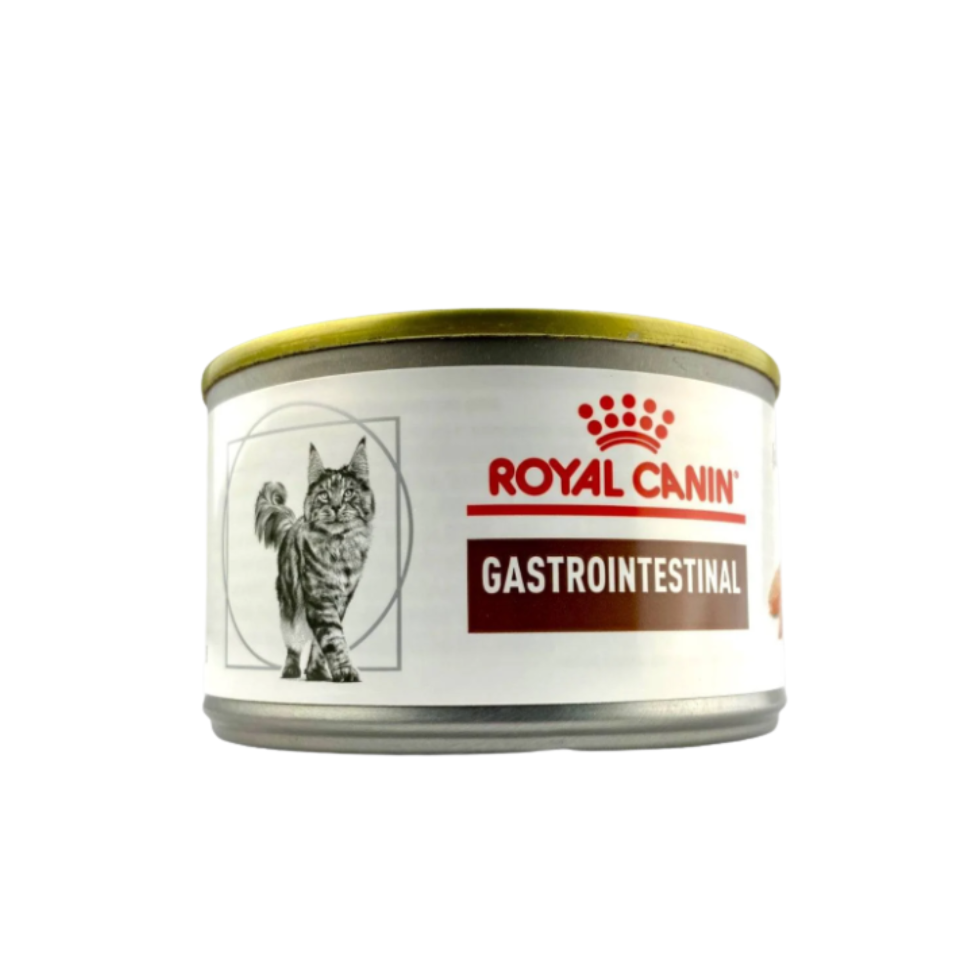 24 latas Royal Canin Gastrointestinal High Energy Feline 145 g, alimento húmedo digestivo para gato