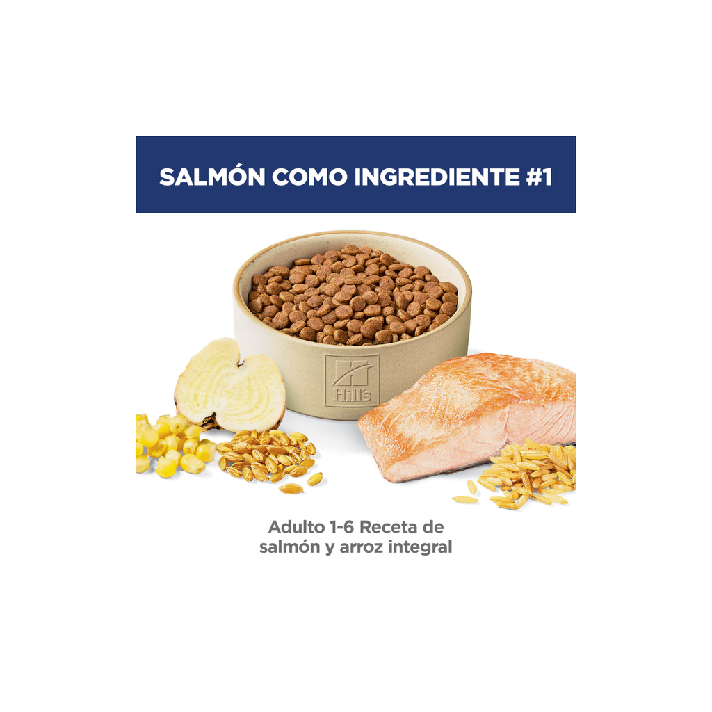Hill's Science Diet Adult Gato Salmón 2.9 kg | Alimento Diario