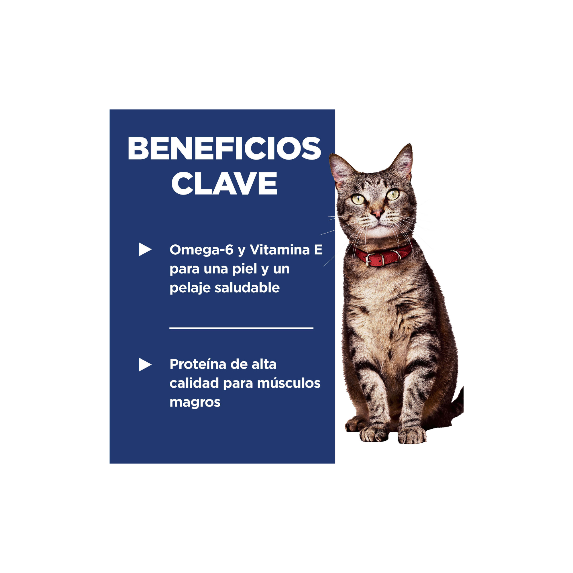 Hill's Science Diet Adult Gato Salmón 2.9 kg | Alimento Diario