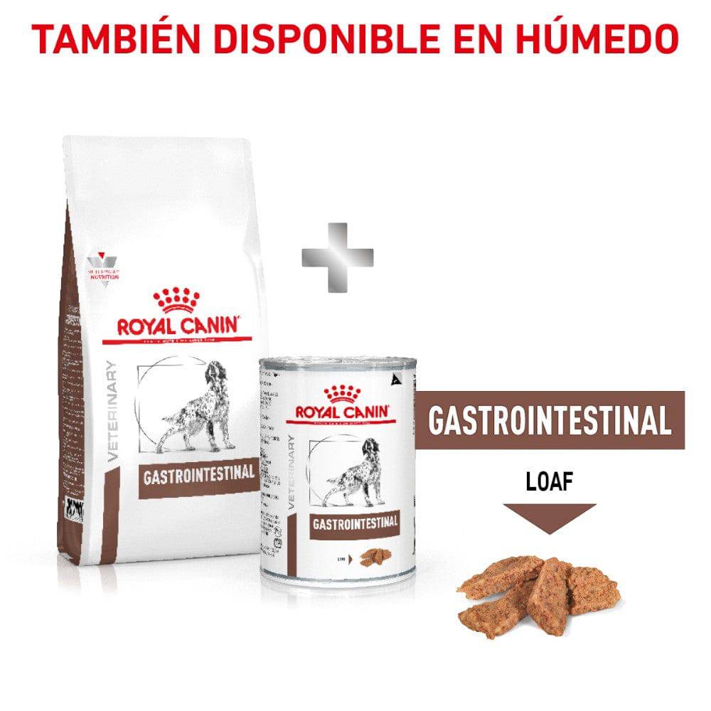 Royal Canin GastroIntestinal High Energy