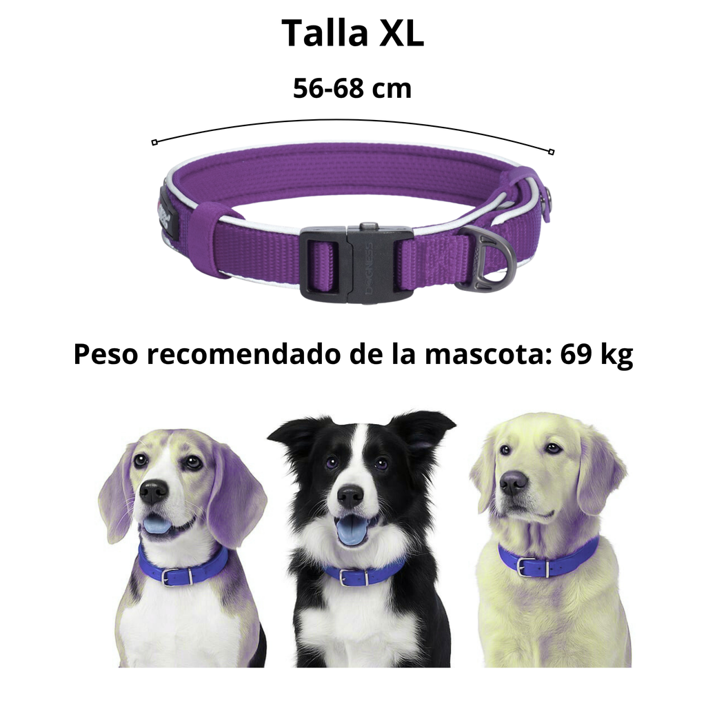 Collar para Perro Dogness Reflectivo Morado Talla XL - Seguridad