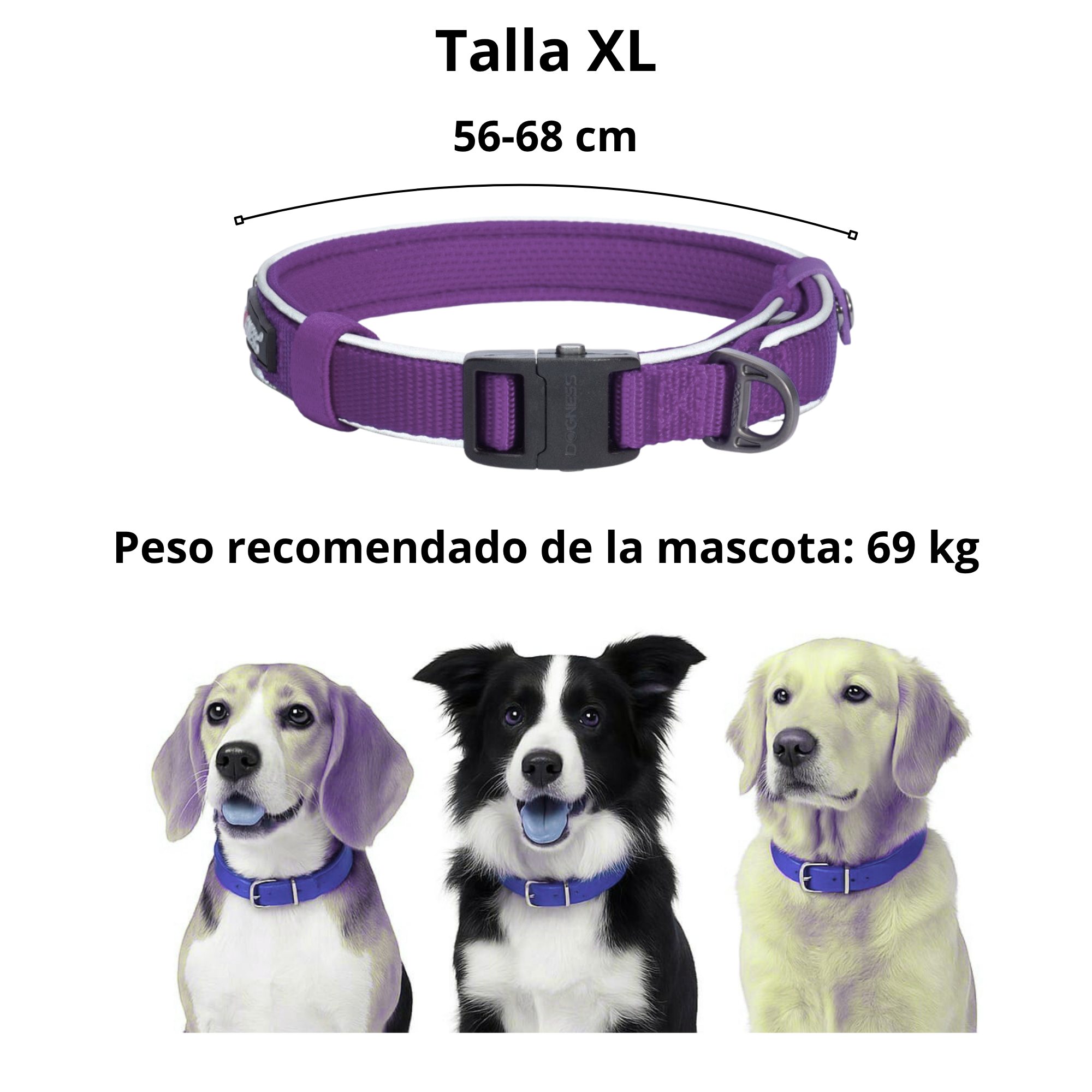 Collar para Perro Dogness Reflectivo Morado Talla XL - Seguridad