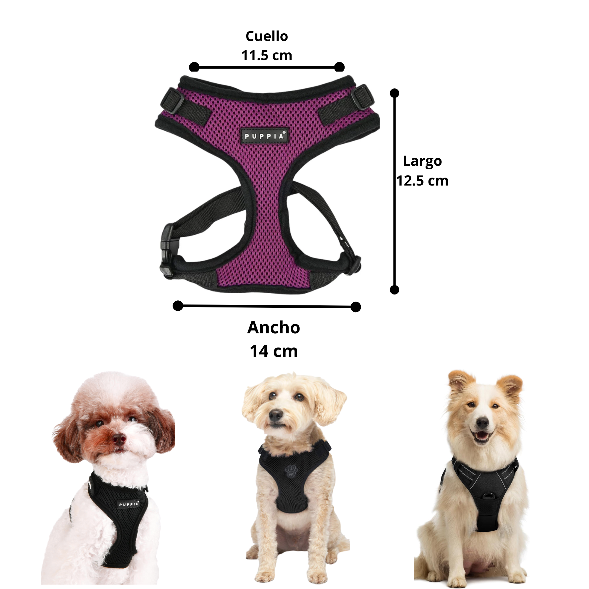 Arnes para Perros Pequeños