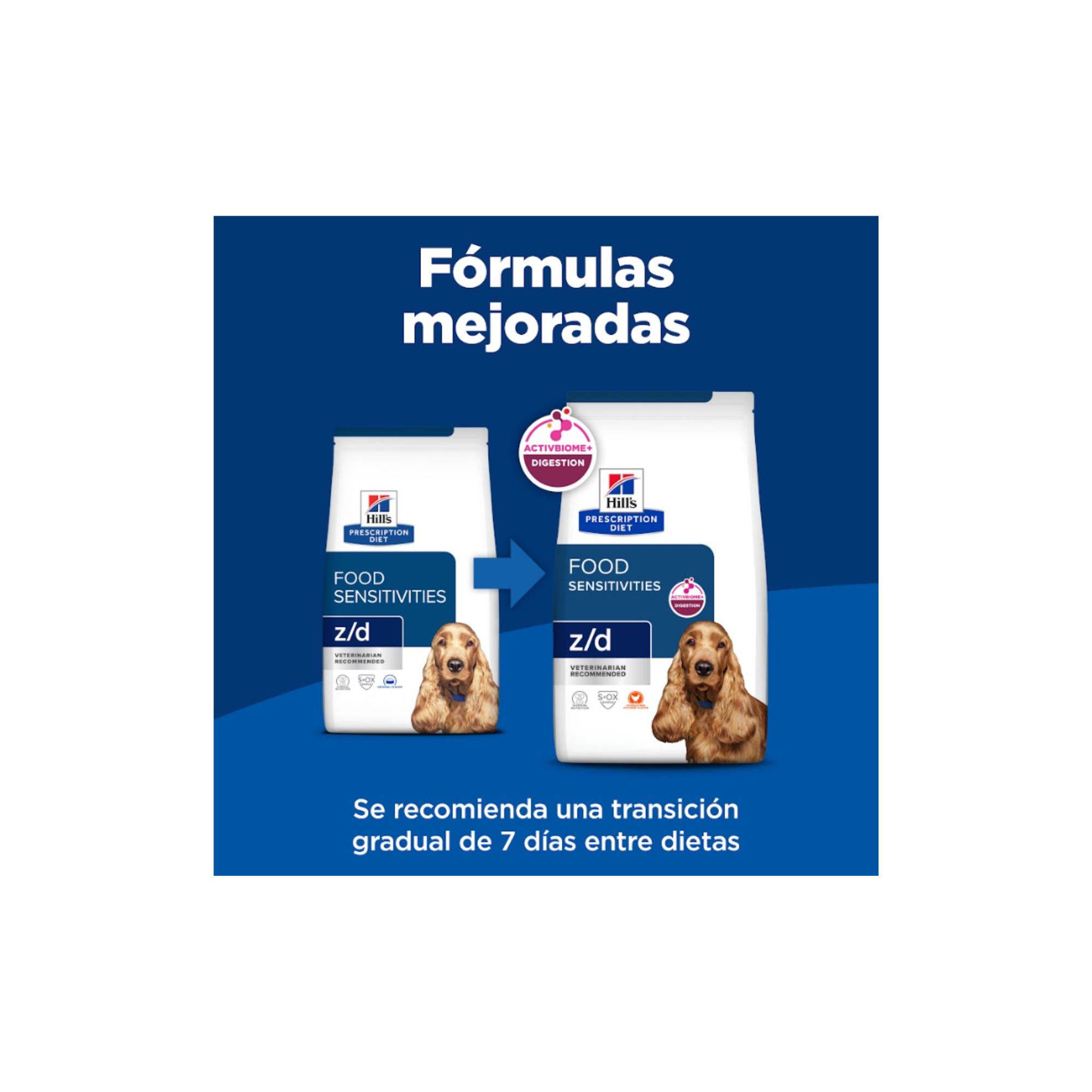 Beneficios de Hill's z/d para perros con alergia alimentaria y piel sensible