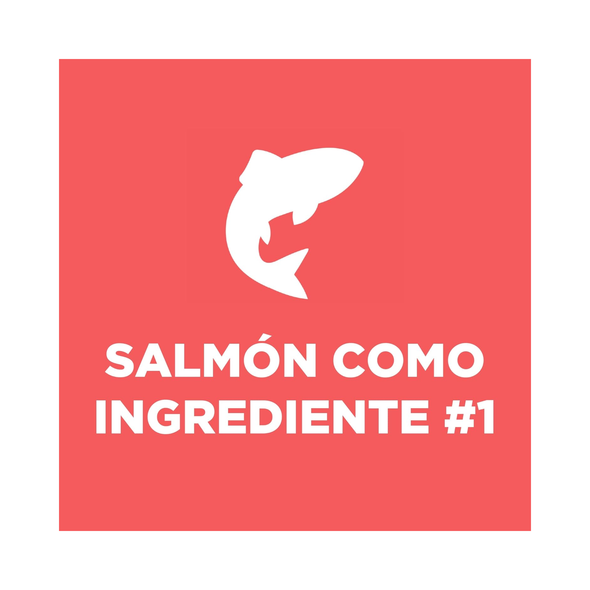 Hill's Science Diet Adult, alimento saludable perro adulto receta de salmón, 6.3 kg