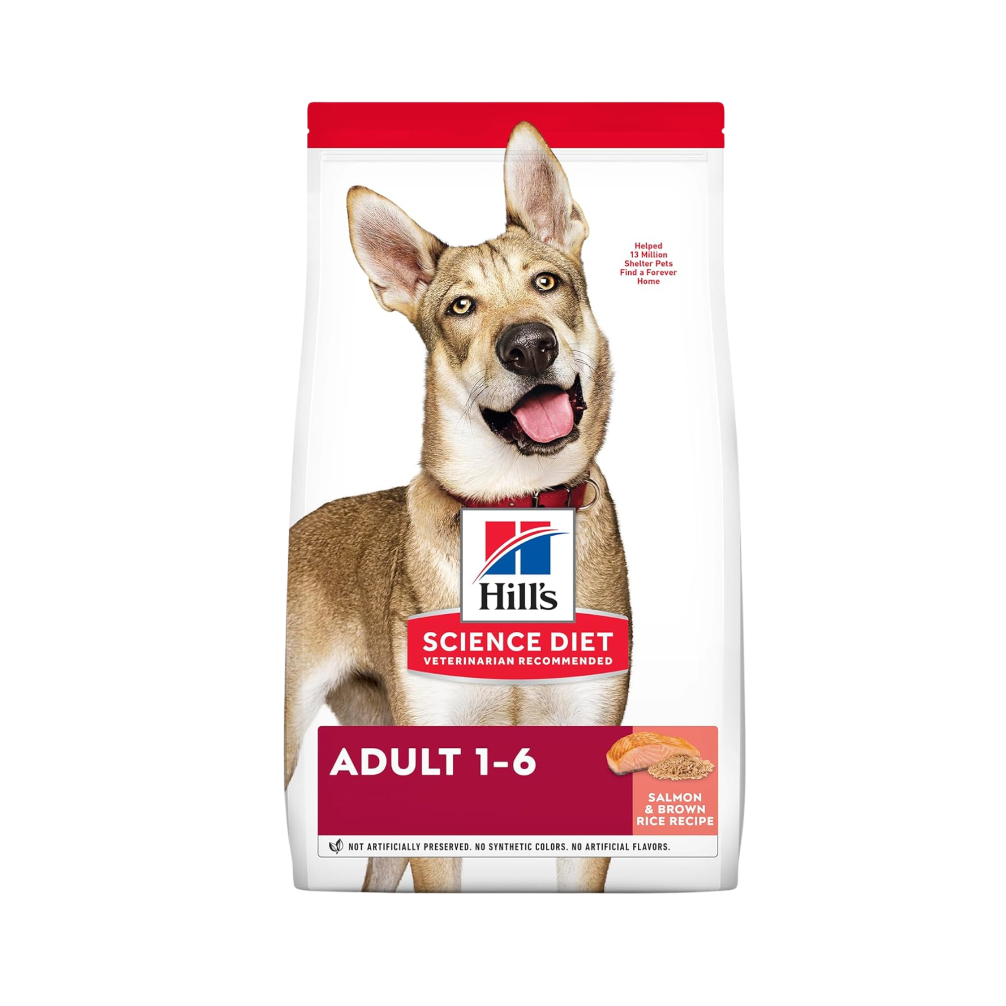 Hill's Science Diet Adult, alimento saludable perro adulto receta de salmón, 6.3 kg