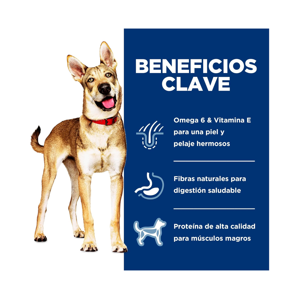 Hill's Science Diet Adult, alimento saludable perro adulto receta de salmón, 6.3 kg