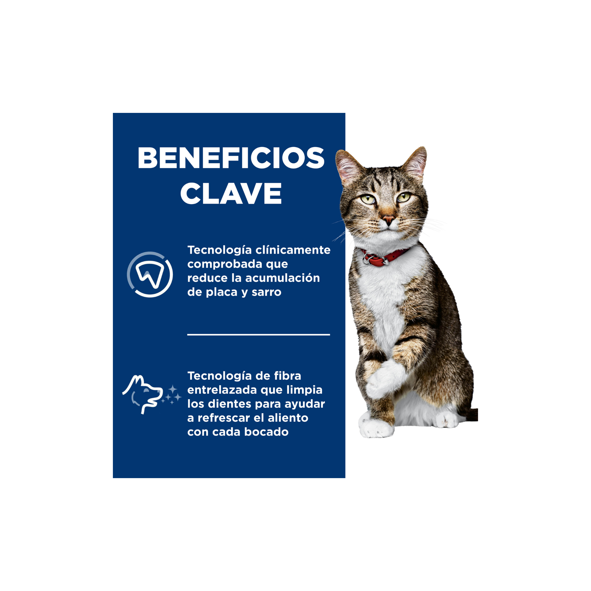 Hill's Science Diet Oral Care, Alimento para Cuidado Dental para Gatos Adultos 1.587 KG