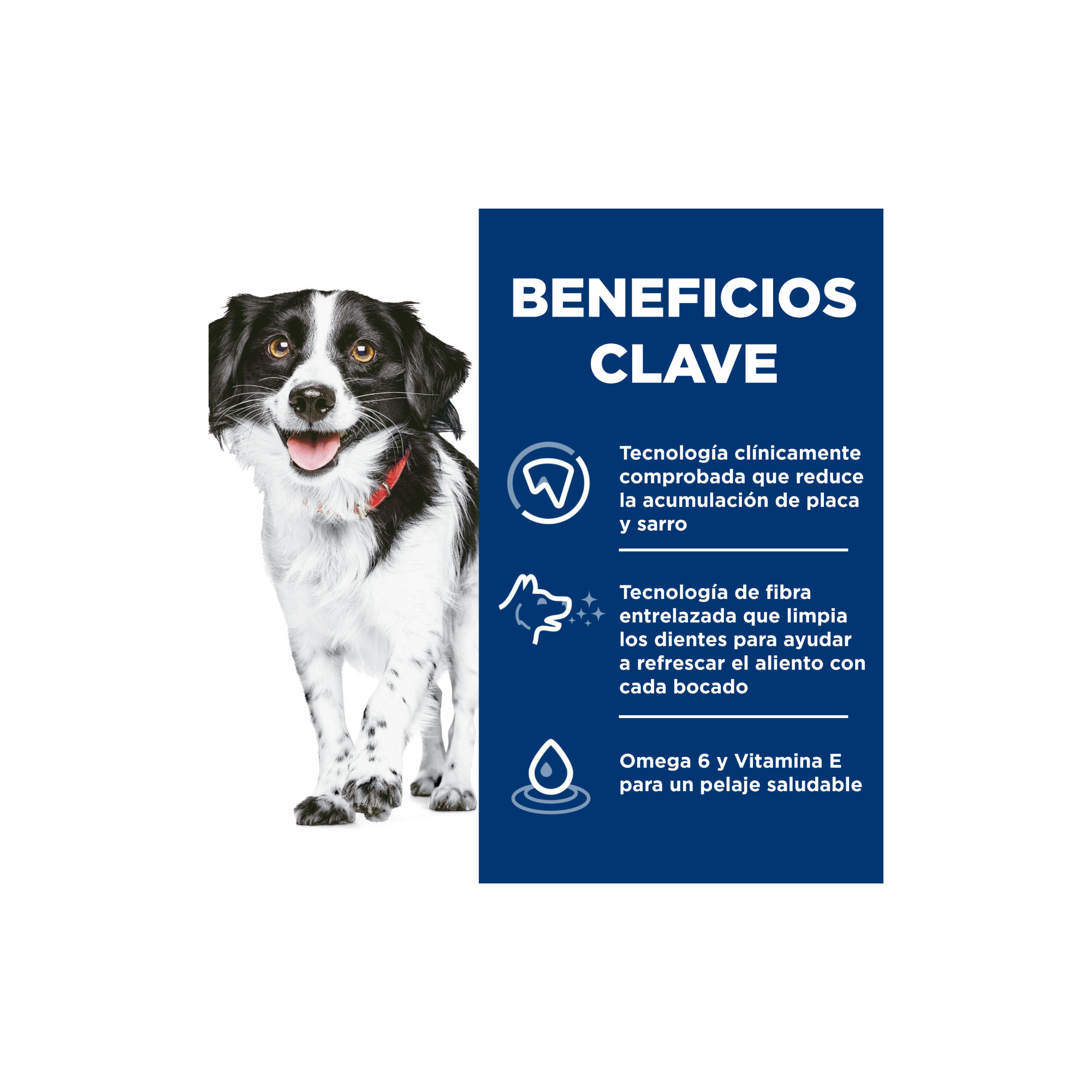 Hill's Science Diet Oral Care Small and Mini, Alimento para Cuidado Dental para perros pequeños y mini 1.814 KG