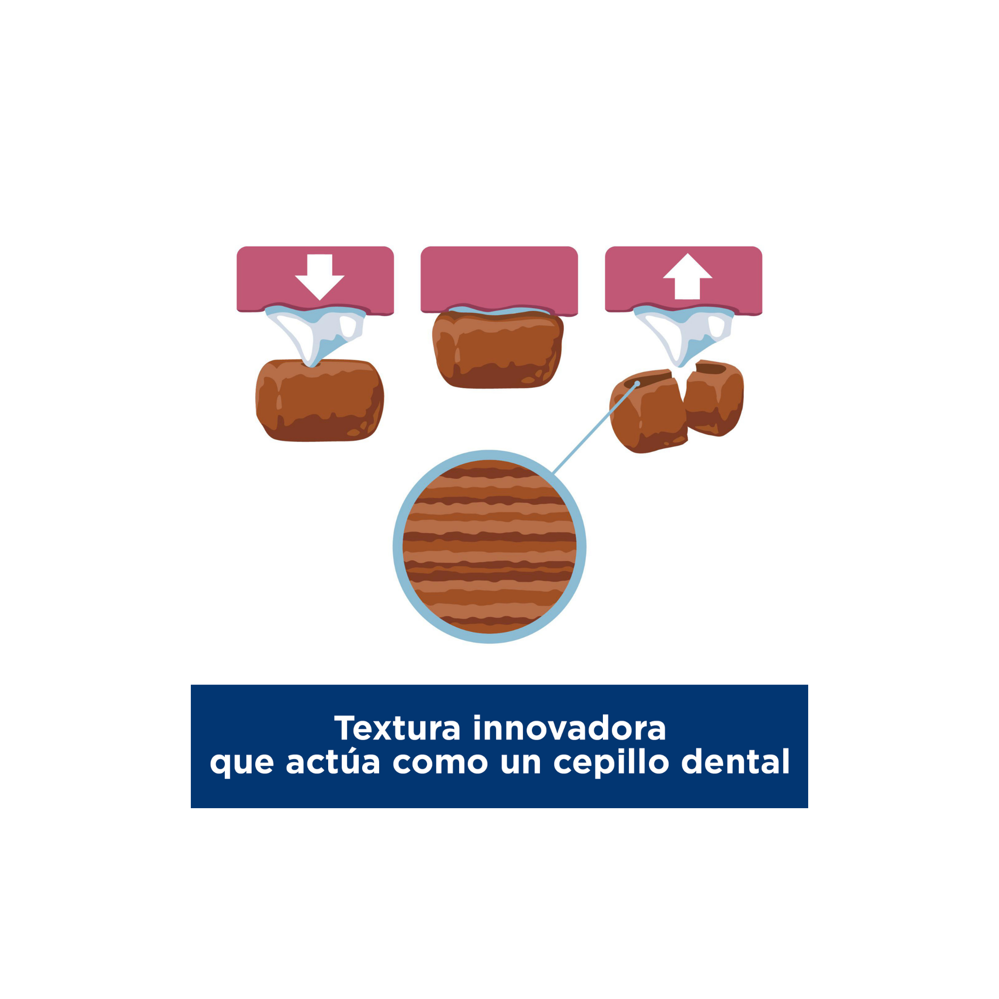 Hill's Science Diet Oral Care Small and Mini, Alimento para Cuidado Dental para perros pequeños y mini 1.814 KG