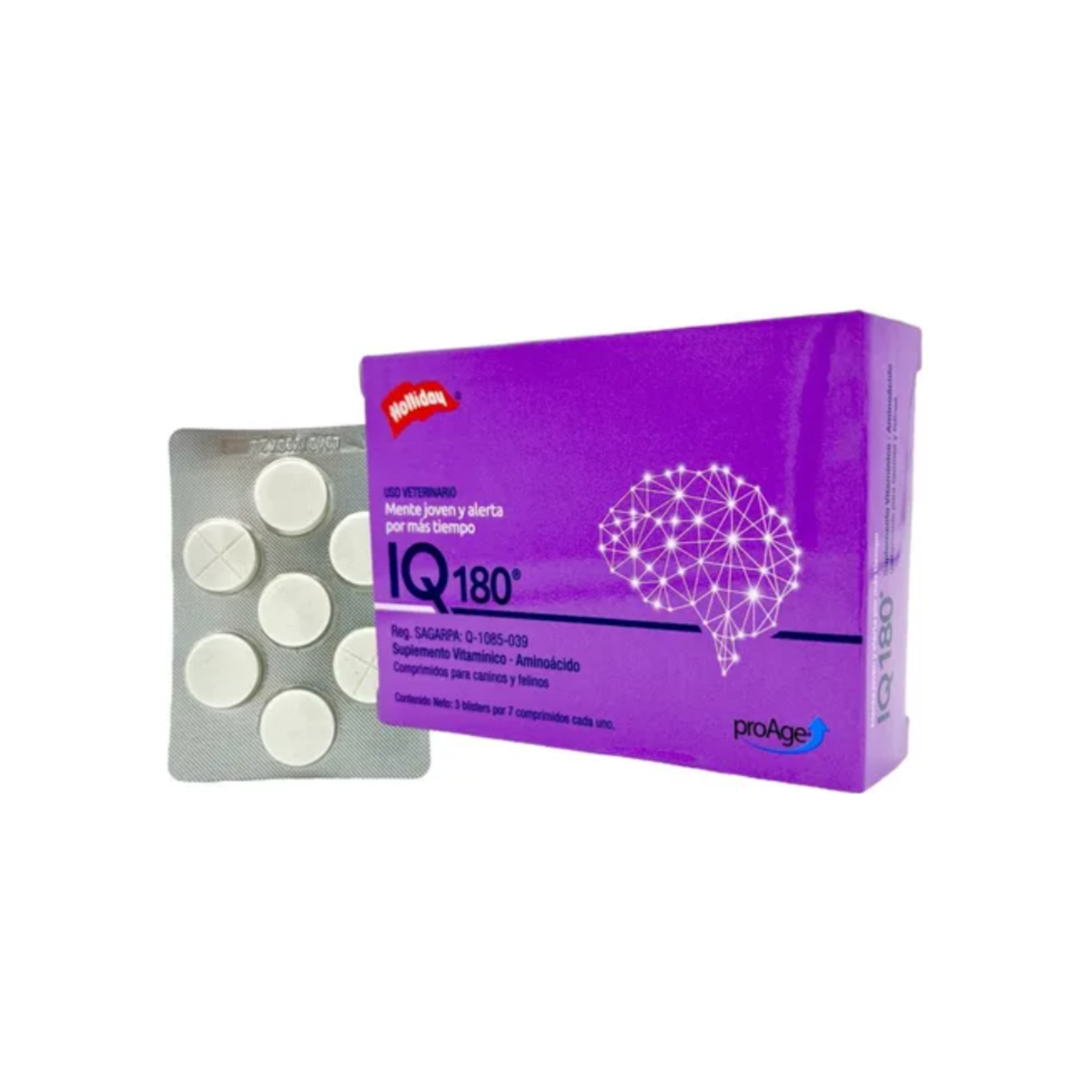 IQ 180 Holliday