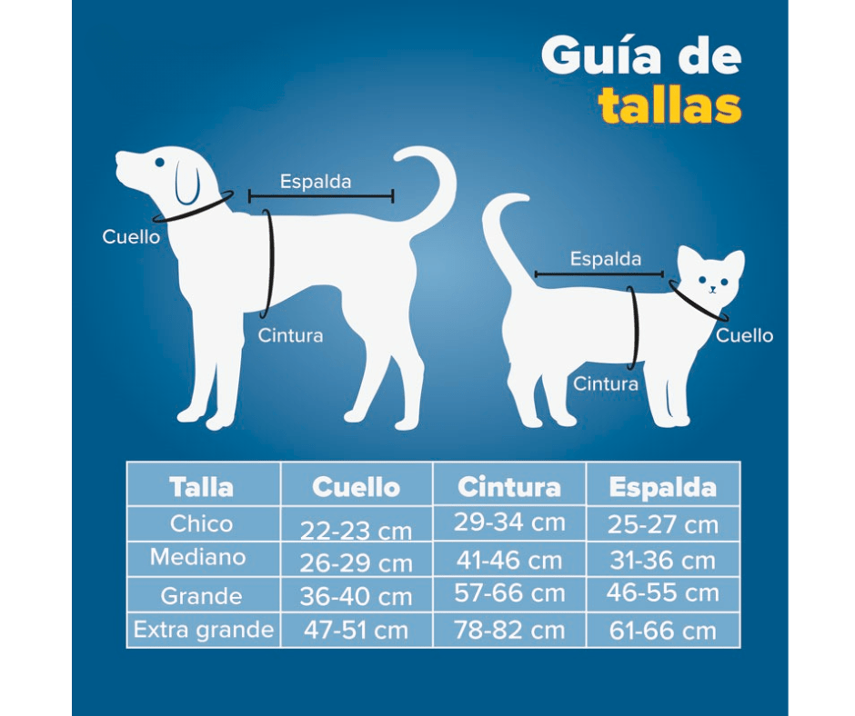 jersey miami dolphins mexico