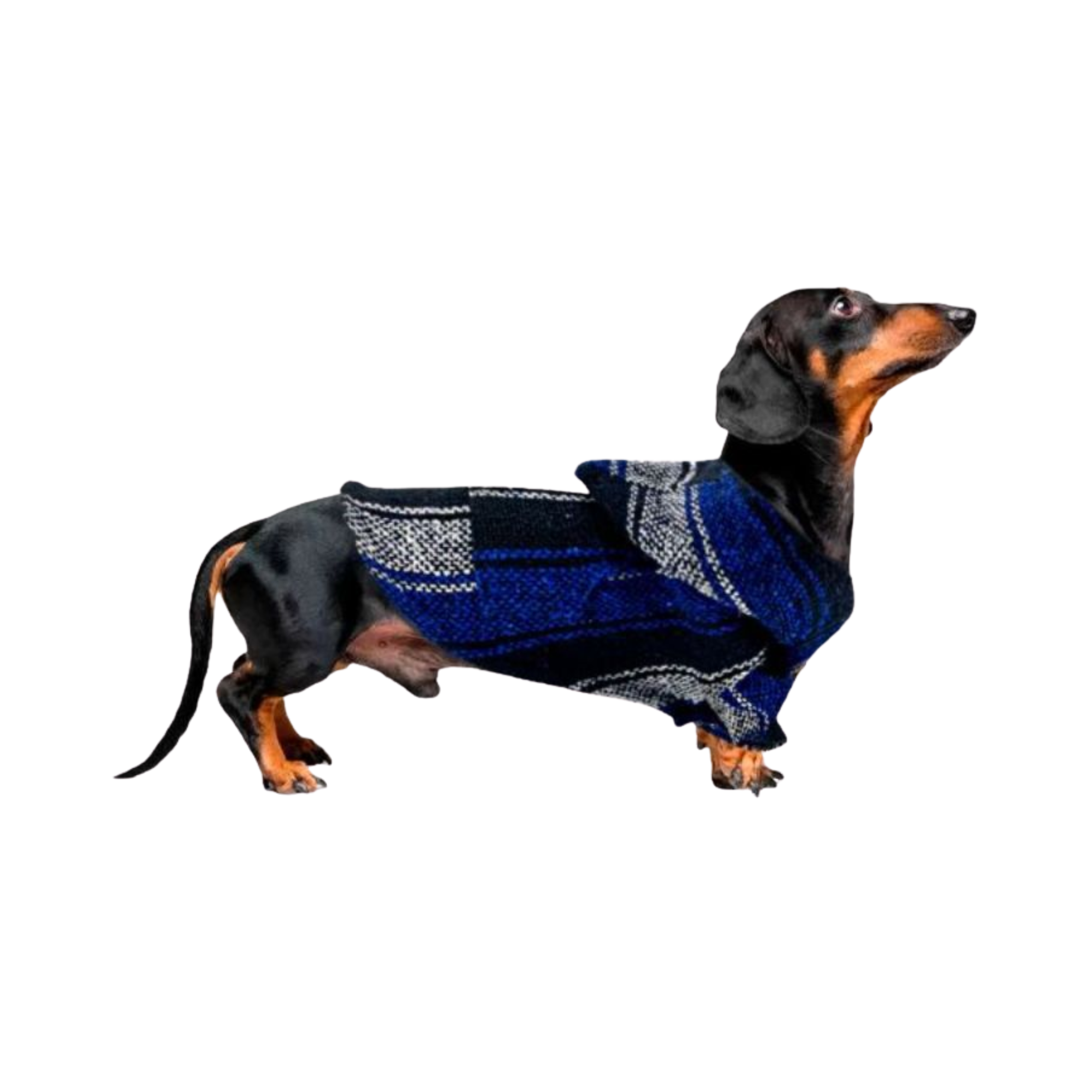 Kokoli Sueter Poncho Color Azul Talla XL