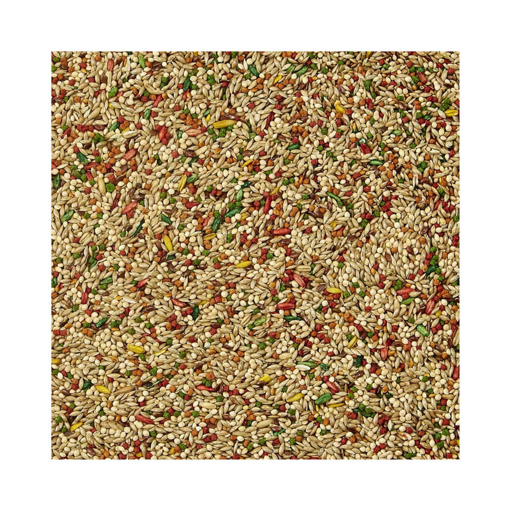 Kaytee Forti Diet Alimento para Canarios y Pinzón 907 GR