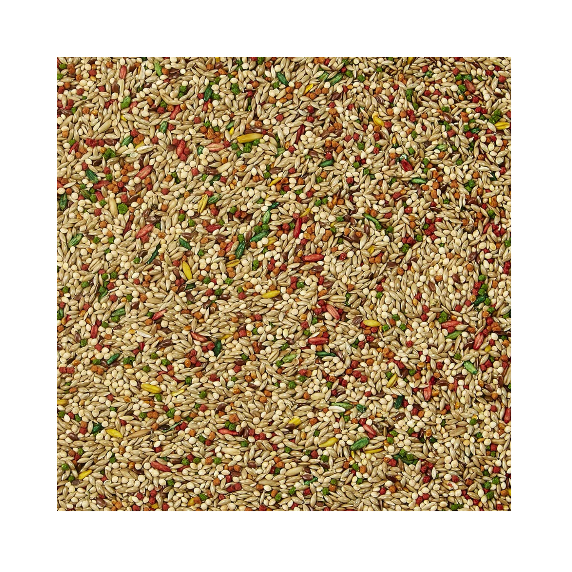 Kaytee Forti Diet Alimento para Canarios y Pinzón 907 GR