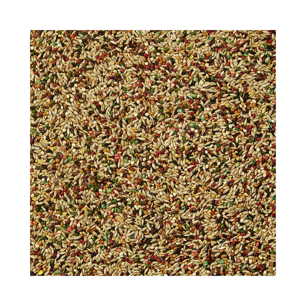 Kaytee Forti Diet Prohealth Alimento para Canario y Pinzón 907 g