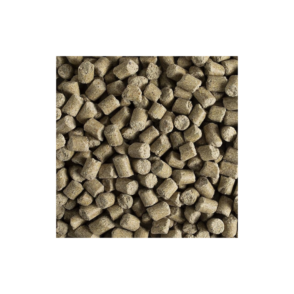 Kaytee Forti Diet Prohealth Alimento para Rata y Ratón 3 LB