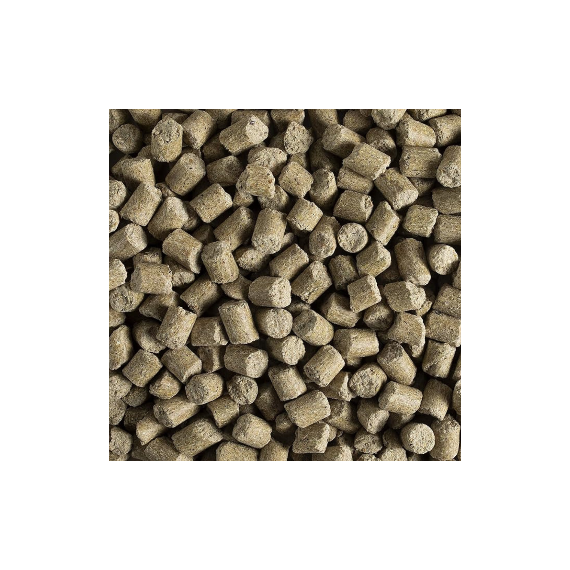 Kaytee Forti Diet Prohealth Alimento para Rata y Ratón 3 LB