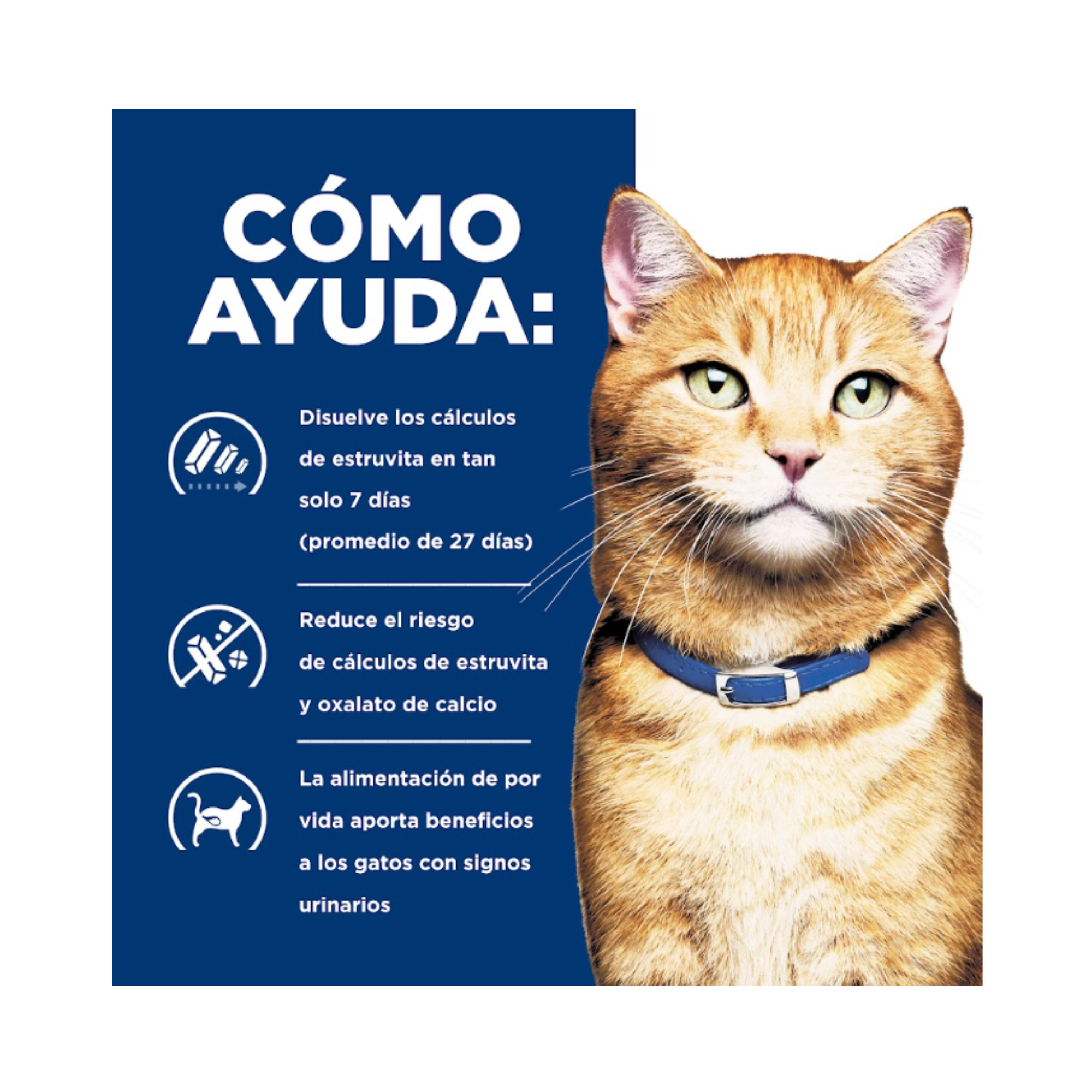 Lata Hill's c/d Multicare alimento húmedo urinario para gato