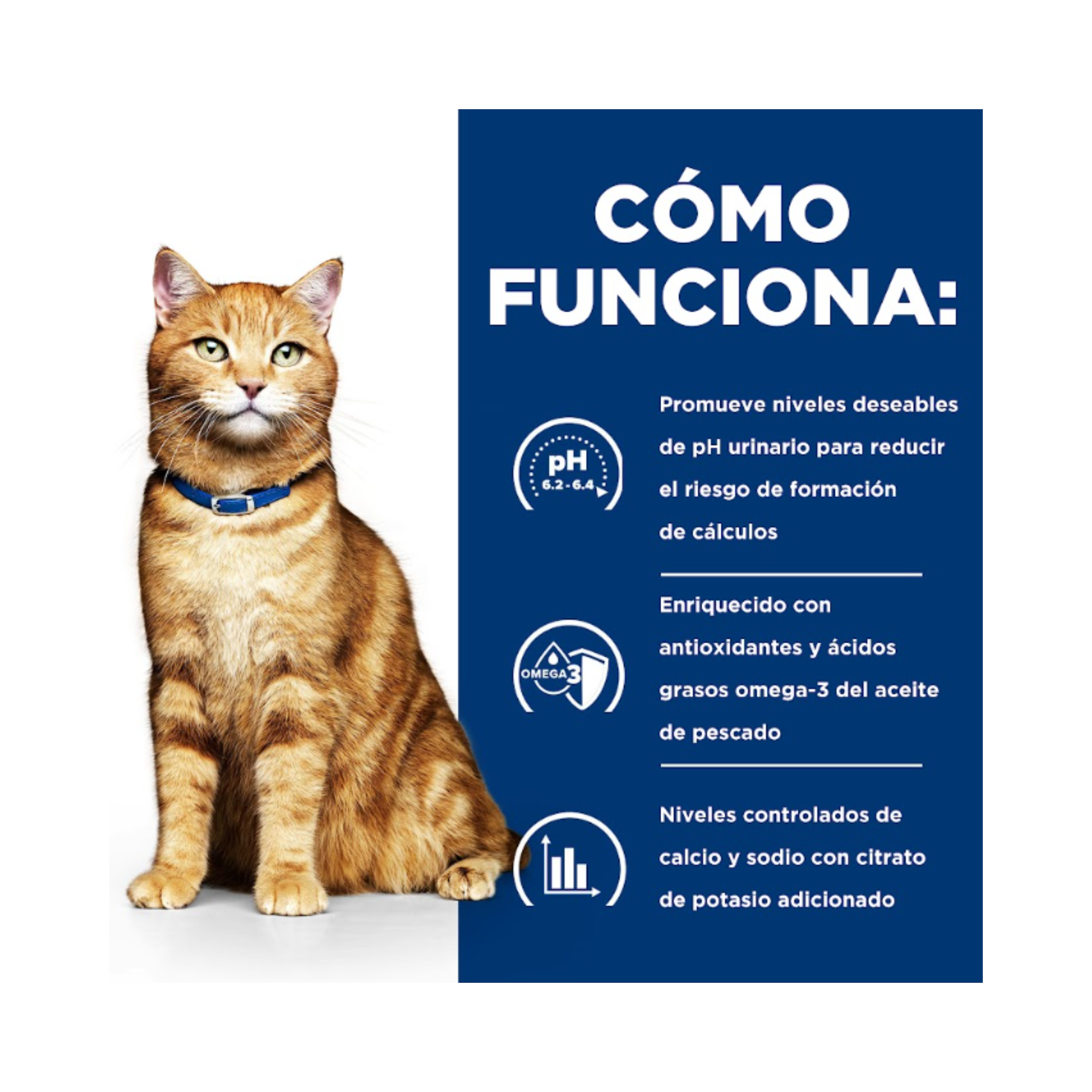 Hill's Prescription Diet c/d Multicare lata para gato cuidado urinario 156 g
