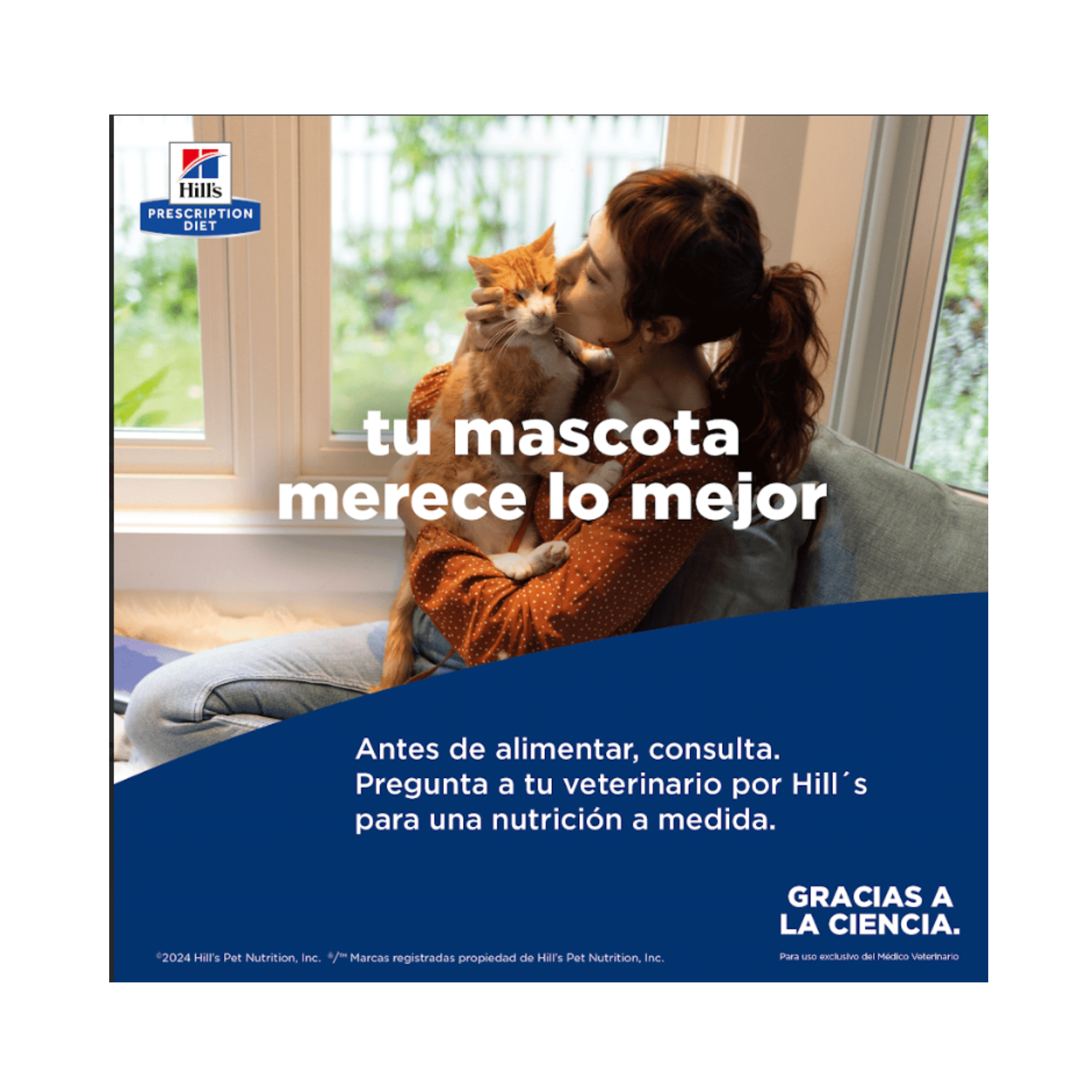 Hill's Gastrointestinal Biome Gato 82 g, lata de alimento húmedo de prescripción - AniMALL