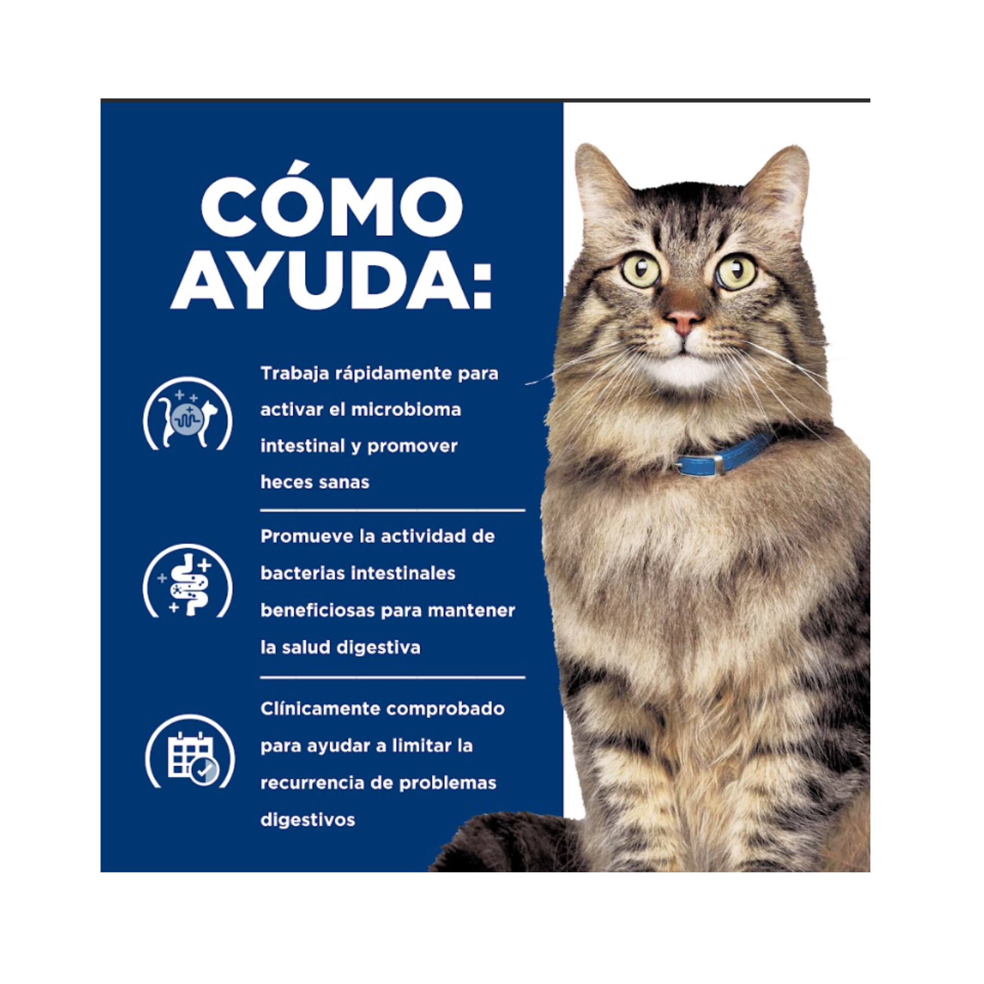 Beneficios de Hill's Gastrointestinal Biome para gatos con trastornos digestivos y diarrea
