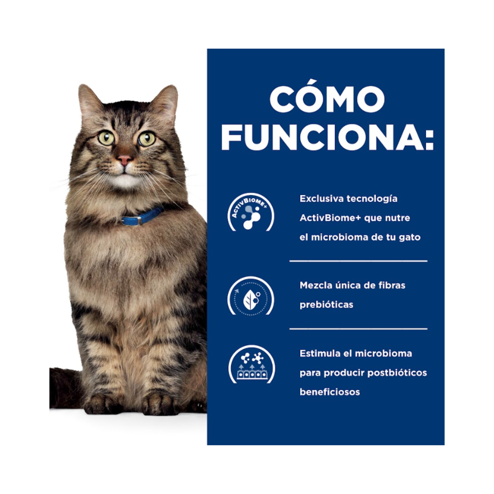 Hill's Gastrointestinal Biome Gato con tecnología ActivBiome+ para el cuidado digestivo felino