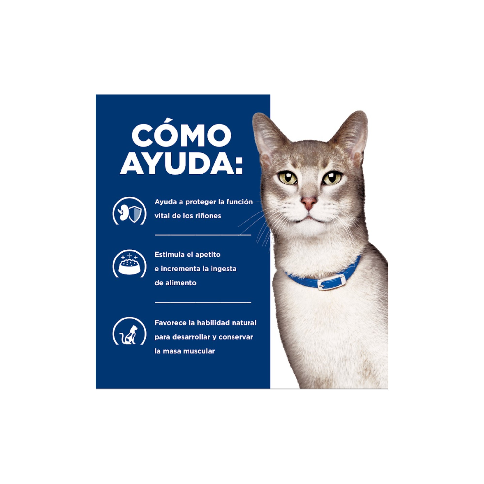 Hill's k/d Cuidado Renal Gato lata 156 g, nutrición clínica para enfermedad renal