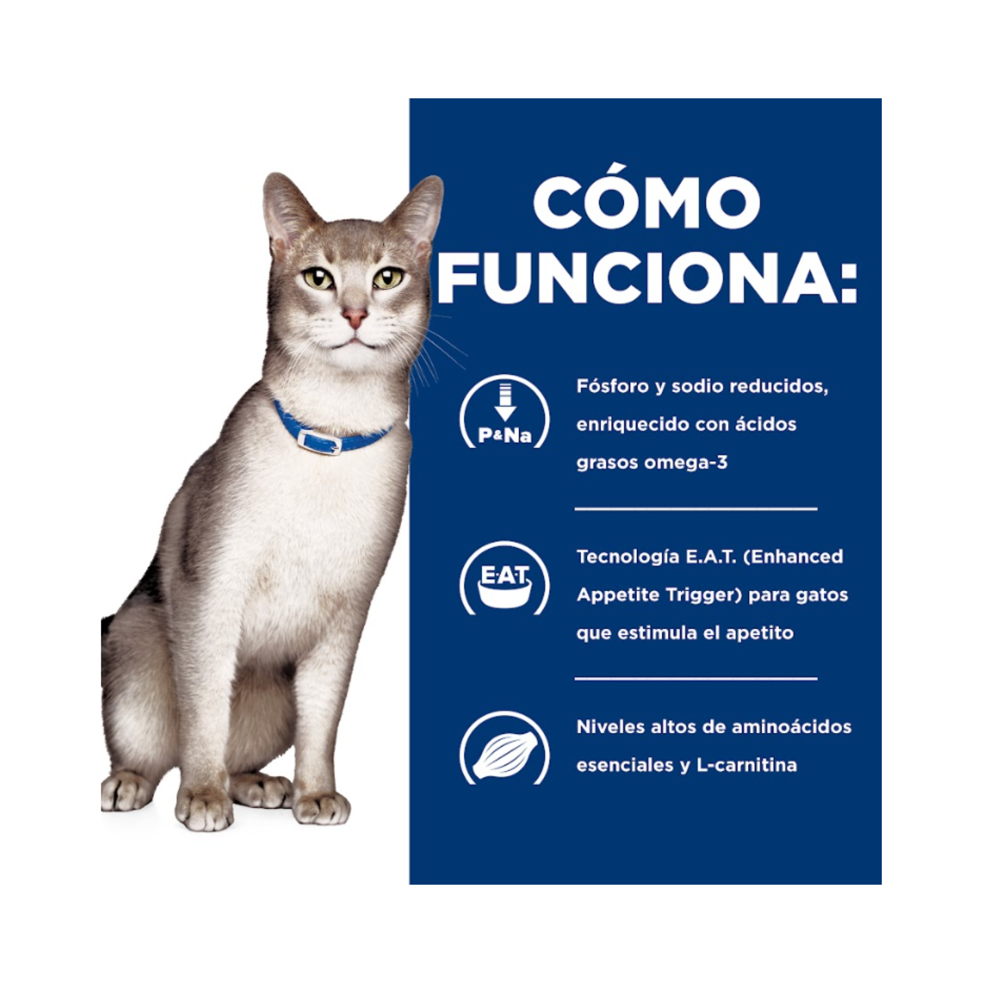 Hill's k/d gato: beneficios para la función renal y entorno urinario con S+OXSHIELD