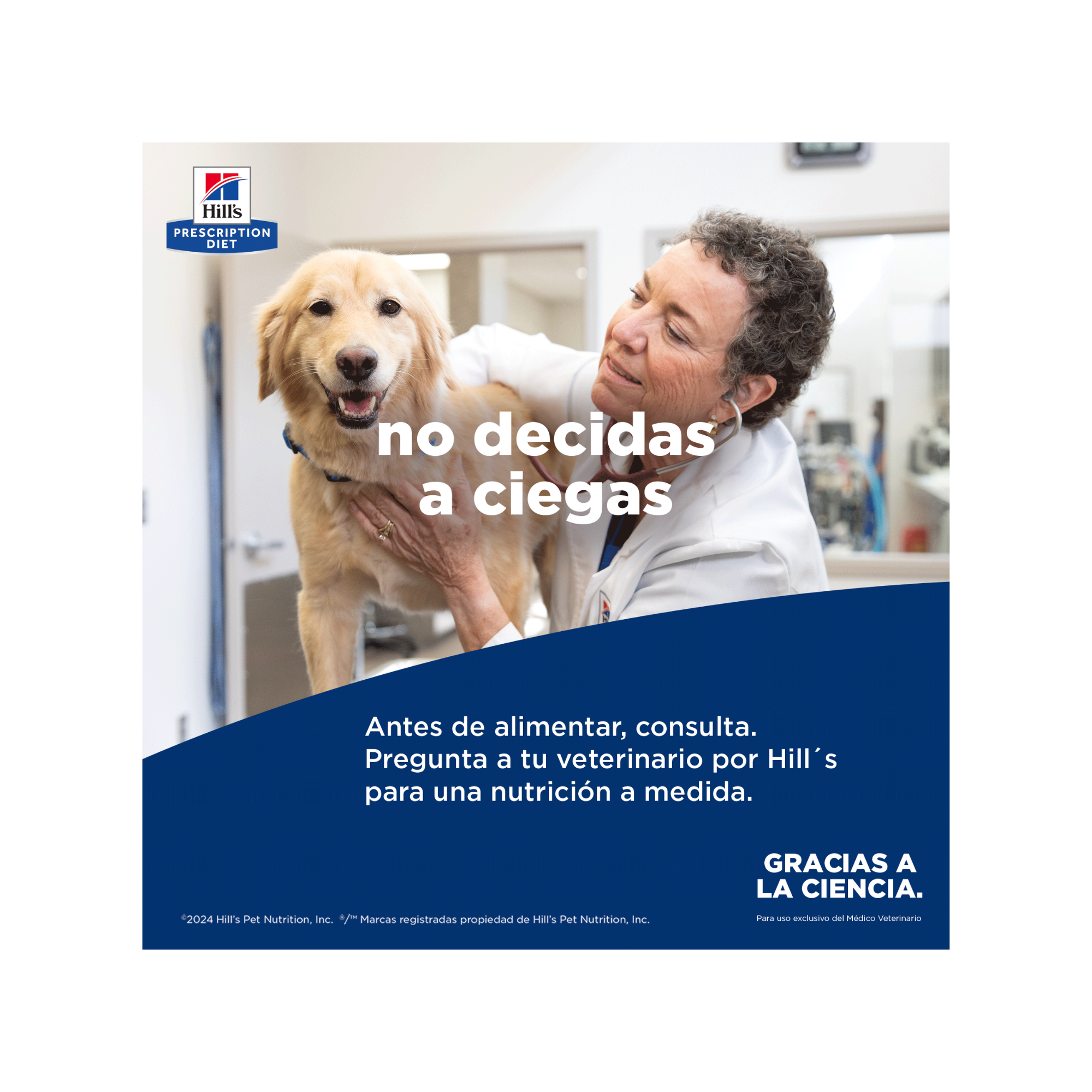 Hill's Gastrointestinal Biome alimento húmedo para perro con trastornos digestivos, lata 354 g