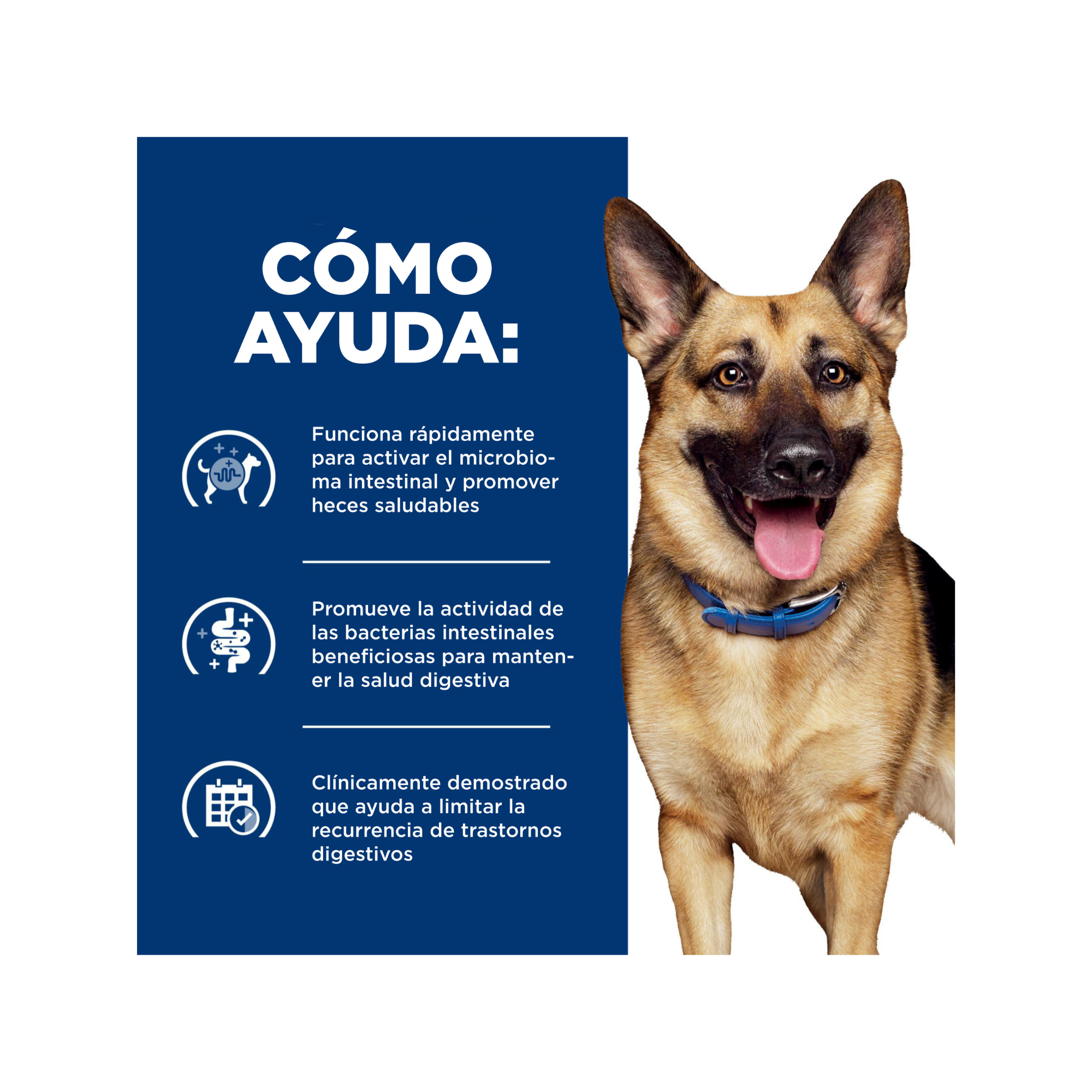 Hill's Prescription Diet Gastrointestinal Biome perro, presentación caja con 12 latas de 354 g