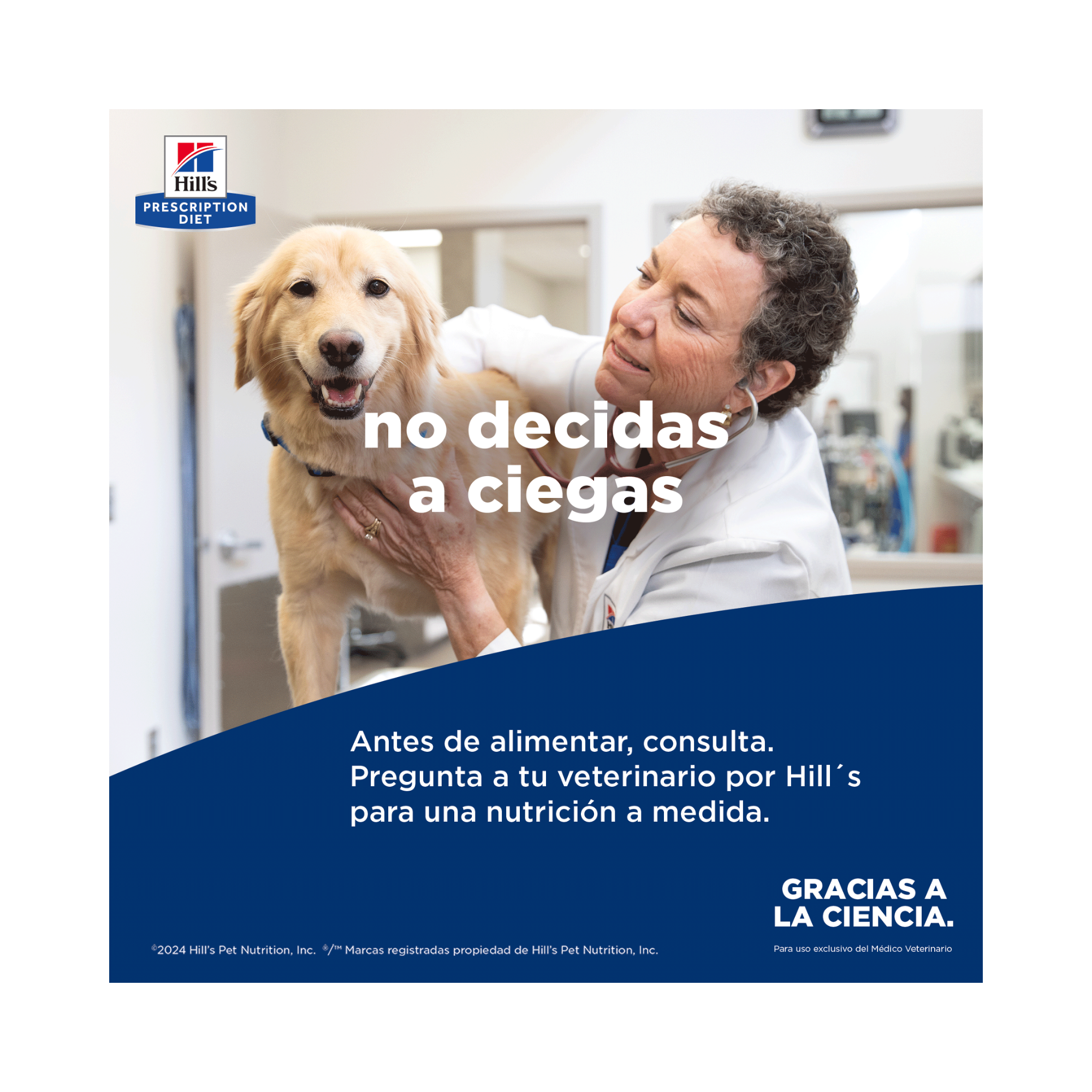 Lata Hill's a/d 156 g nutrición clínica para convalecencia de perros y gatos - AniMALL