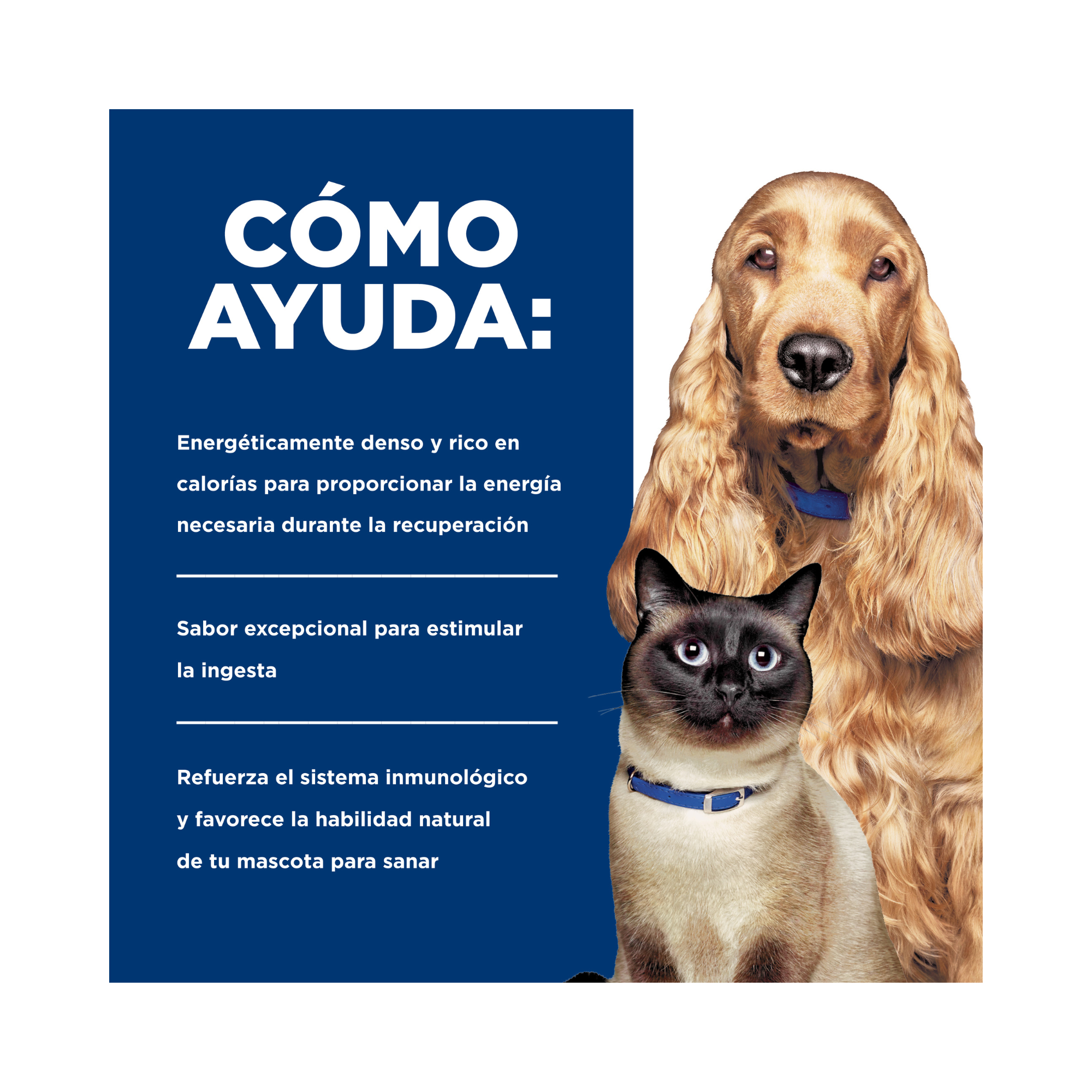 Lata Hill's Prescription Diet a/d Recuperación para perro y gato 156 g con pollo - AniMALL