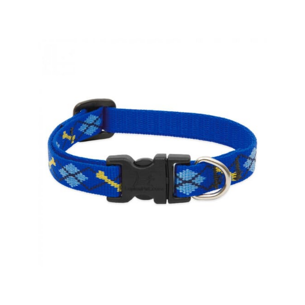 Lupine Pet Collar Color Azul con Broche para Perro Talla Grande 41 a 71 cm