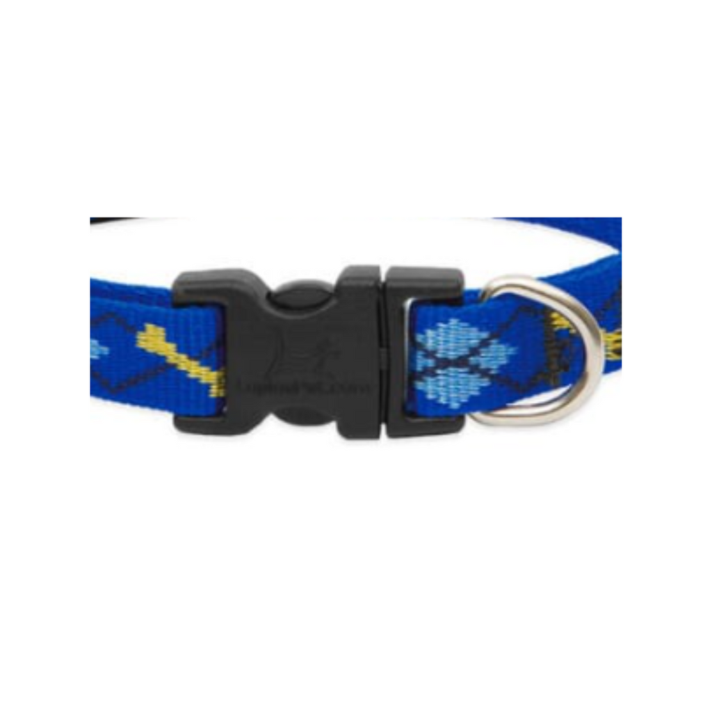 Lupine Pet Collar Color Azul con Broche para Perro Talla Grande 41 a 71 cm