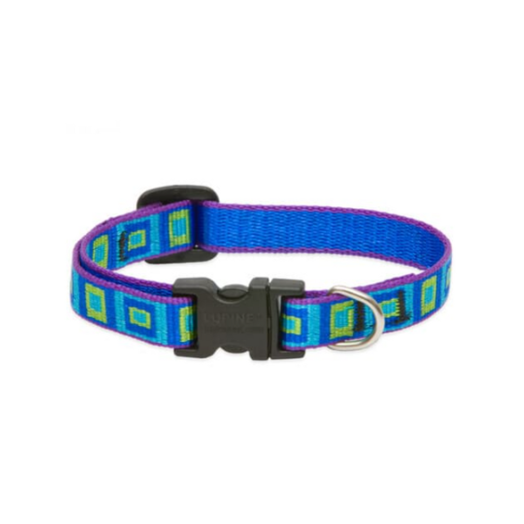 Lupine Pet Collar Color Azul de Cuadros con Broche para Perro Talla Grande 41 a 71 cm