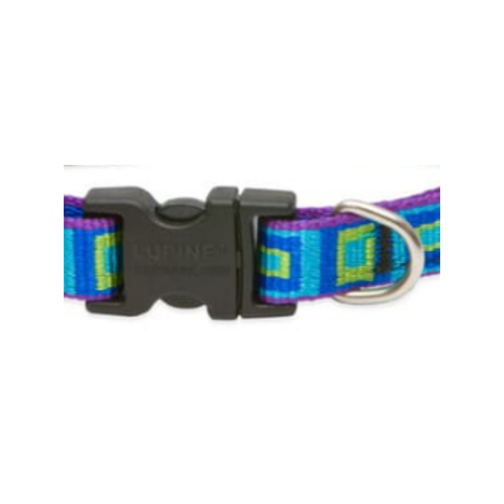 Lupine Pet Collar Color Azul de Cuadros con Broche para Perro Talla Grande 41 a 71 cm