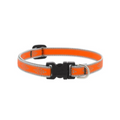 Lupine Pet Collar Color Naranja Neón Con Broche Para Perro Talla Mediano 35 a 55 cm