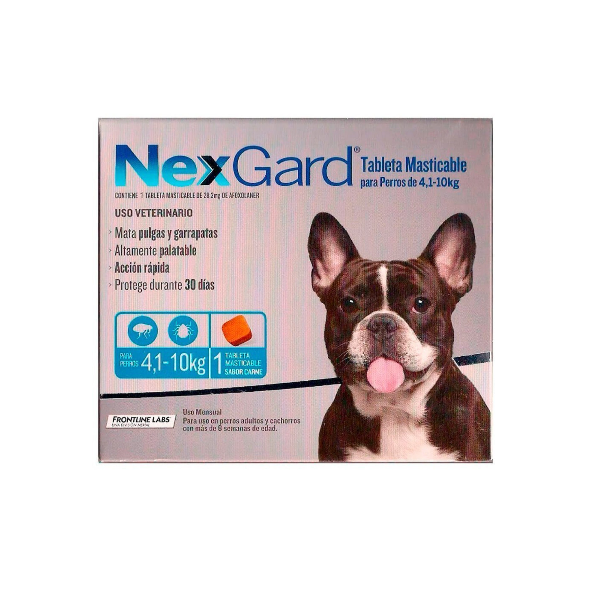 Nexgard Perros