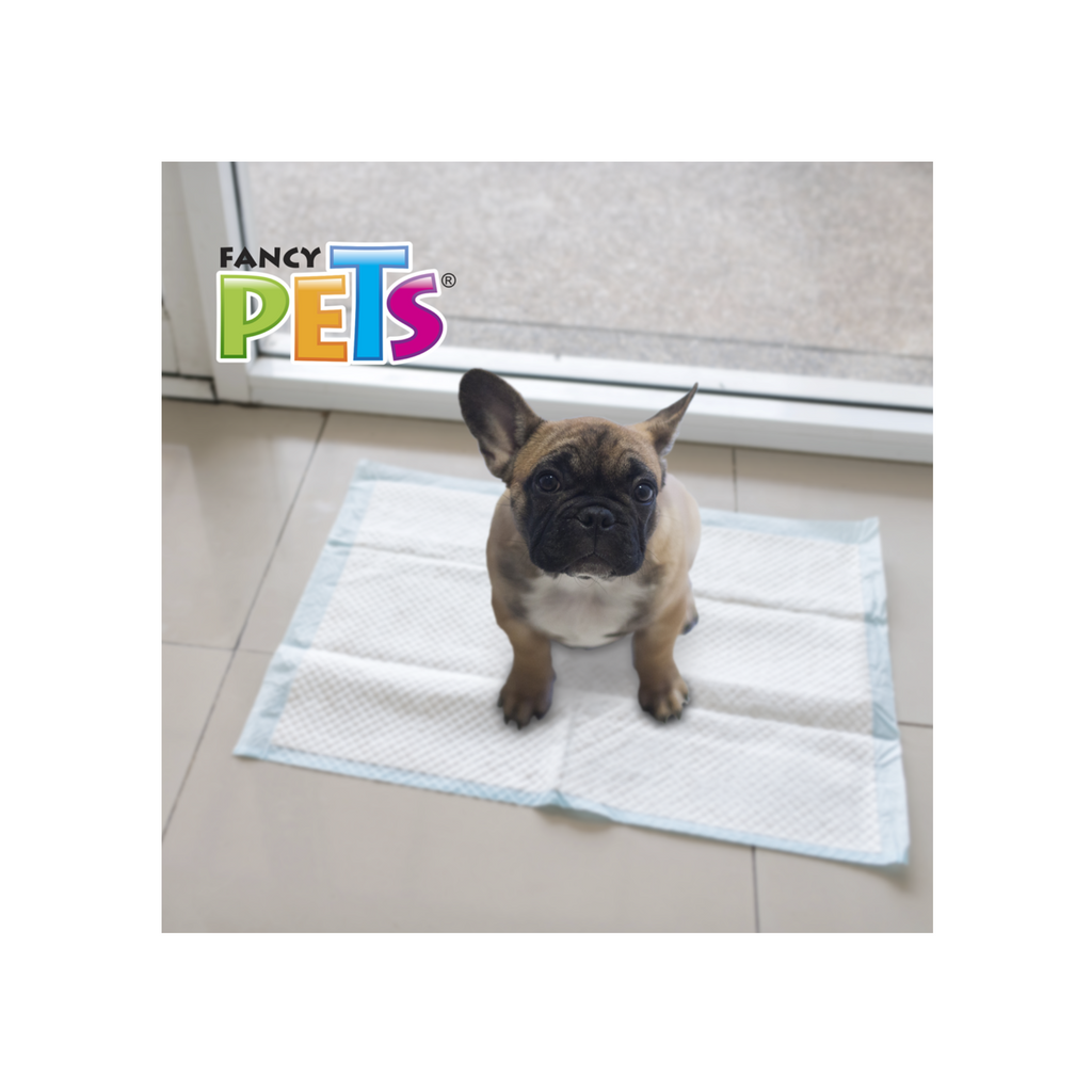 Pañal para perros
