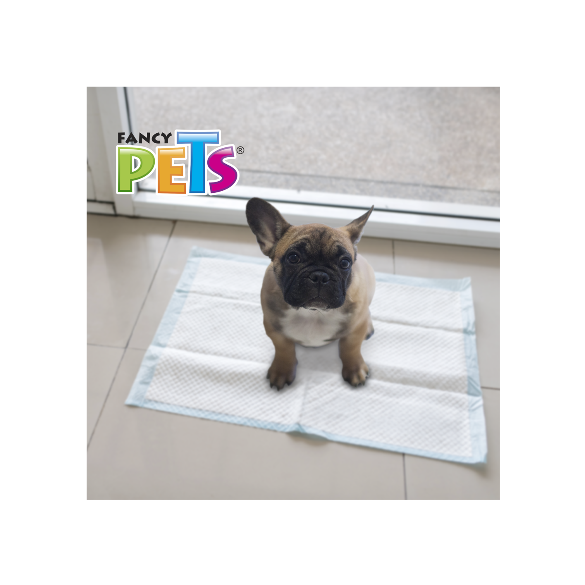 Pañal para perros