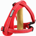 Pechera para pasear perros