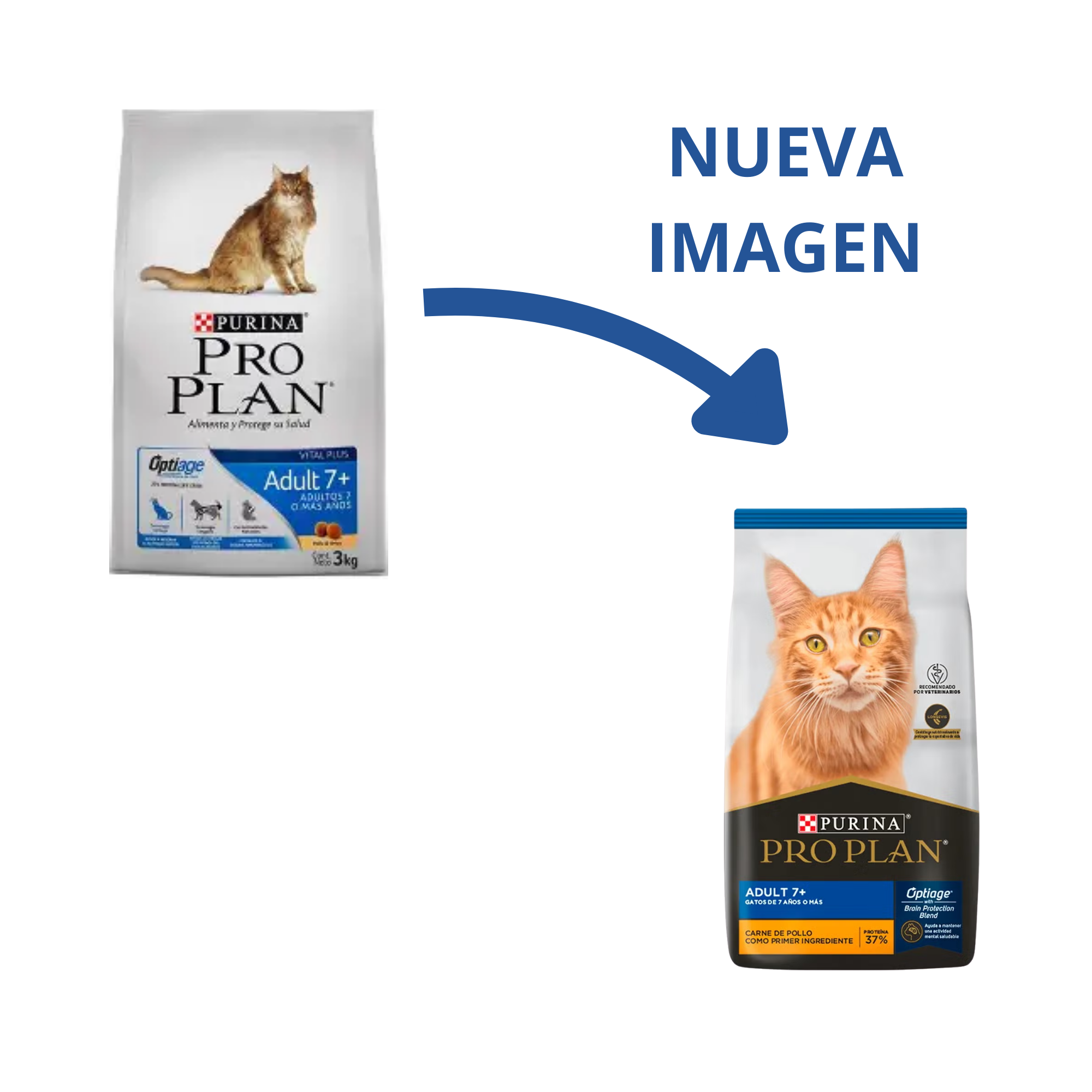 Pro Plan Gato Senior 7+ alimento seco premium